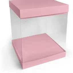 intact media Cake Box Plastic Packaging Box-picture-10