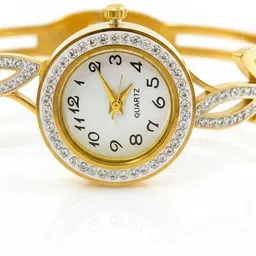 the hawk vision Analog Watch - For Women THV1014-picture-37