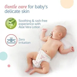 luvlap Easy Diaper Pants, Large , for babies upto 9-14Kg, Pant style diaper, Aloe Vera - L image 4