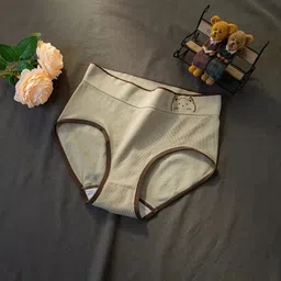 ishuvilla Pack of 3 Women Bikini Multicolor Panty image 3