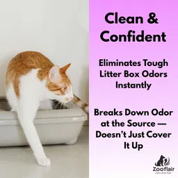 zooflair Cat Litter Spray, Levender, Odor Eliminating Spray Deodorizer image 2