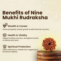 bondwal trendz Unique & Effective nine Mukhi Rudraksha 9 Faced Rudraksha For Men & Women Beads Wood Pendant image 4