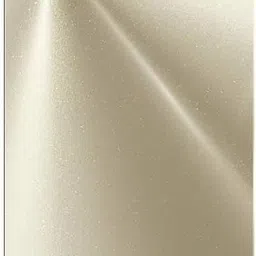 SPAREWARE Realme For Realme 10 -Gold (WITH ALL LOGO) Back Panel-picture-14