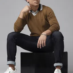 roadster Men Solid V Neck Brown Sweater image 4