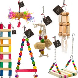 petzoo Bundle of 6 Cage Accessories Includes Crinkle Shredder, Swing, Ladder & Perches Wooden Chew Toy, Training Aid, Perch For Bird-picture-16