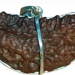 1 Mukhi Rudraksha Collector with Certification ||by Nepali Rudraksh Certified Brass Pendant-image-54