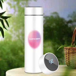 giftsland 500 ml Steel Flask image 2