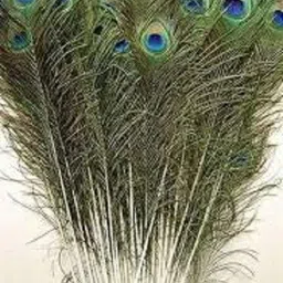 jari enterprises Pack of 12 Decorative Feathers-picture-28
