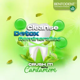 bentodent Cardamom Natural Toothpaste image 3