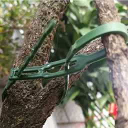 supvox 30pcs of Plant Twist Ties, Branch Support Ties for Flowers Amaryllis Tomatoes Garden Tool Kit image 3