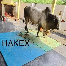 hakex Cow Mat-Waterproof Rubber Mat 8*5 Feet BPA Free For Horse Cow, Dog, Hamster, Guinea Pig, Miniature Pig Pet Mat-picture-15