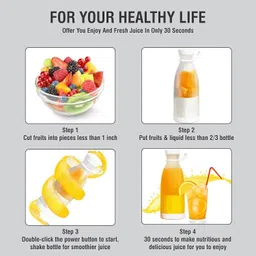 shreeganesh UB-12 200 W Juicer image 2