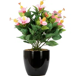 fourwalls Polyester Pink Hibiscus Flower With Glossy Ceramic Vase Artificial Plants image 2