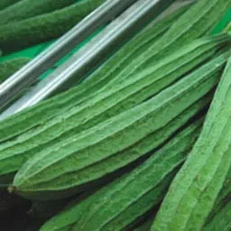 ™ Vegetable Seeds Ridge Gourd (Tori) - Green Long Seeds Seed-image-6
