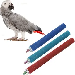 sage square Wood Rough Sand Perches Combo of 4, 8 & 10 inche|Exercise |Bird, Parrot, Budgies Wooden Perch, Training Aid, Stick For Bird-picture-34