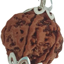 banke collection Original 5 Mukhi Nepali Rudraksha Natural five Face Rudraksh Metal Capped Silver Beads Brass, Wood Pendant-picture-28