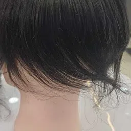 hair secret Medium Hair Wig image 1