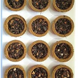 anjenny enterprises SAMBRANI DHOOP CUP FOR POOJA Dhoop-picture-12