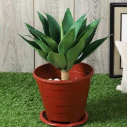 casacraft from pepperfry Green Polyester Artificial Foxtail Plant Without Pot-picture-16