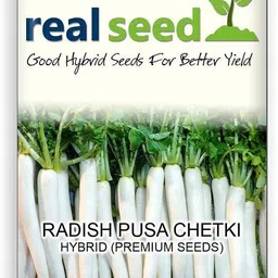 qualtivate ™ Radish F1 Hybrid Imported Vegetable Seeds-1500 Seed Seed-picture-24