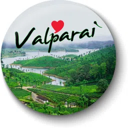 Love Valparai I Tamil Nadu Series Fridge Magnet Pack of 1-image-3