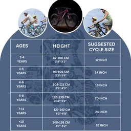 lotus-s LANDER 20 T (inch) Fat Tyre Cycle image 4