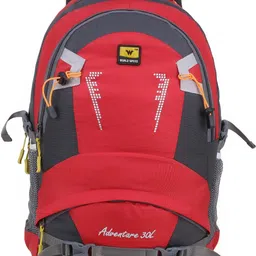 Medium 25 L Laptop Backpack Travel Stylish-image-31