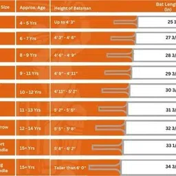 jai shree ram sports Genius Virat Kohli bat|Size-4| For 9-11 Years Boys/Girls Poplar Willow Bat Poplar Willow Cricket Bat For 9 - 11 Yrs image 2