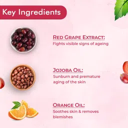 nutriglow natural's Set of 2 Advanced Pro Formula Wine Facial Kit for Fairer Complexion (60gm each) 120 g image 4