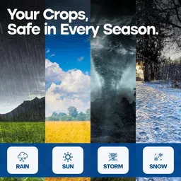 double kissan 20FTX20FT-80-B Tent - For Suitable For: Household Storage, Balcony Shade, 2-Wheeler Cover, Rain Protection image 5