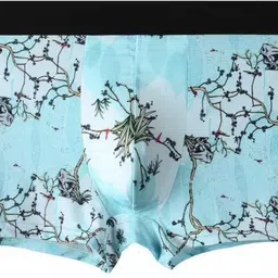 jigpa Men Brief image 5