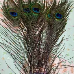 craftwaft Pack of 200 Decorative Feathers-picture-13