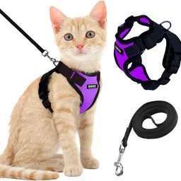 buraq Cat Harness Wth Leash for Walking | Escape Proof | Air Mesh Fabric Cat Standard Harness-picture-24