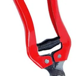 nityaecommerce Handheld Plant Branch Fruit Flower Trim Straight Curved Blade Garden Pruning Shears Garden Scissors Bypass Pruner image 3
