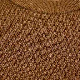 snitch Men Self Design Crew Neck Brown Sweater image 1