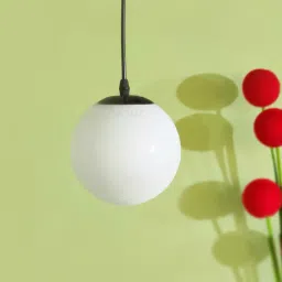 avior Pendant Black & White (E- 27/ 12 Watt) Metal & Glass Globe Hanging Light image 5