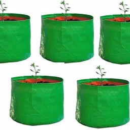 siddhi Plant Grow Bags 9in x 9in,Terrace Gardening ,Fruits Growing Containers Pack of 5 Grow Bag-picture-17