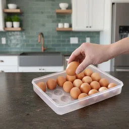 Plate Kitchen Rack 24 Grid Large Egg Organizer, Plastic Storage Tray Plastic-image-76