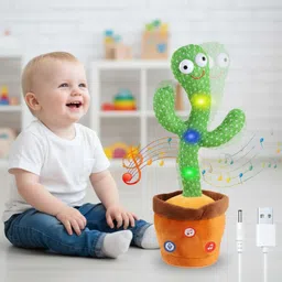 nyvaas cactus image 1