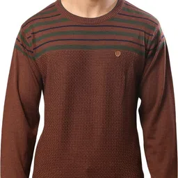 raymond Men Woven Round Neck Brown Sweater-picture-13