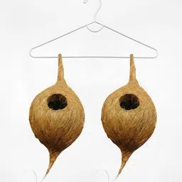 raneza BIRD00001 Regular Bird Bath-picture-10