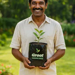 groot Nursery Plastic Poly for Gardening (Black) 10 X 12 inch (Pack of 75 PCS) Grow Bag image 4