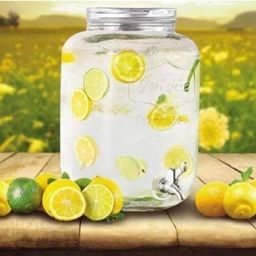 dulariya Glass Dispenser Cold Water Mason Jar Beer Dispenser Clear Beverage Dispenser Bottom Loading Water Dispenser-picture-15