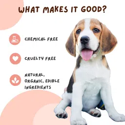 coco crush Mouth Refresh Spray for Pets | Teeth Cleaning, Fights Plaque & Tartar | Natural Pet Mouth Freshner image 4