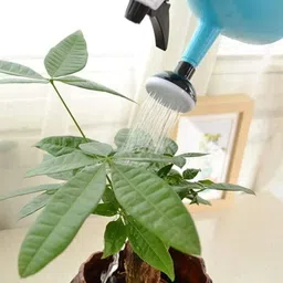 rodiq PLASTIC- Watering Can for Plants and Spray Dual-use 1 L Water Cane image 4
