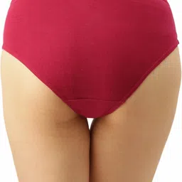 dollar missy Pack of 4 Women Hipster Multicolor Panty image 2