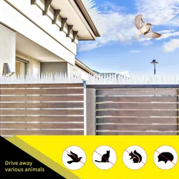 plastkart Bird Spike image 3