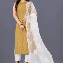 noise Net Embroidered White Women Dupatta-picture-12