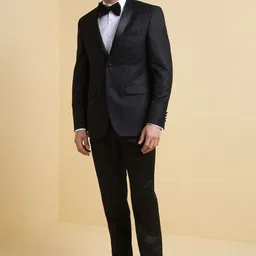 allen solly Men Two Piece Suit Textured Suit image 4