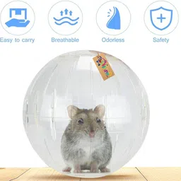 western era Cute Exercise Ball Jogging Wheel, Entertain, Hamsters & Small Animals Plastic Ball For Hamster image 3